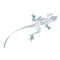 Lizard Wall Stencil | 2273 by Designer Stencils | Animal & Nature Stencils | Reusable Art Craft Stencils for Painting on Walls, Canvas, Wood | Reusable Plastic Paint Stencil for Home Makeover | Easy to Use & Clean Art Stencil